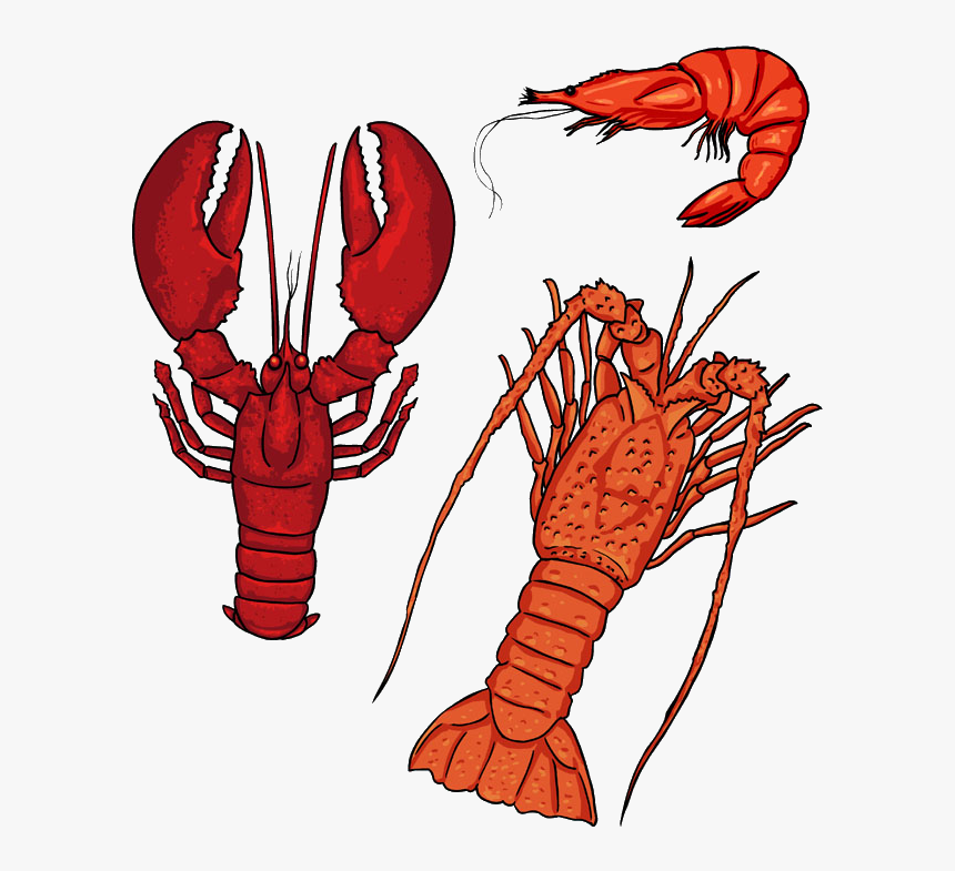 Seafood Lobster Silhouette Cartoon - Seafood Silhouettes, HD Png Download, Free Download