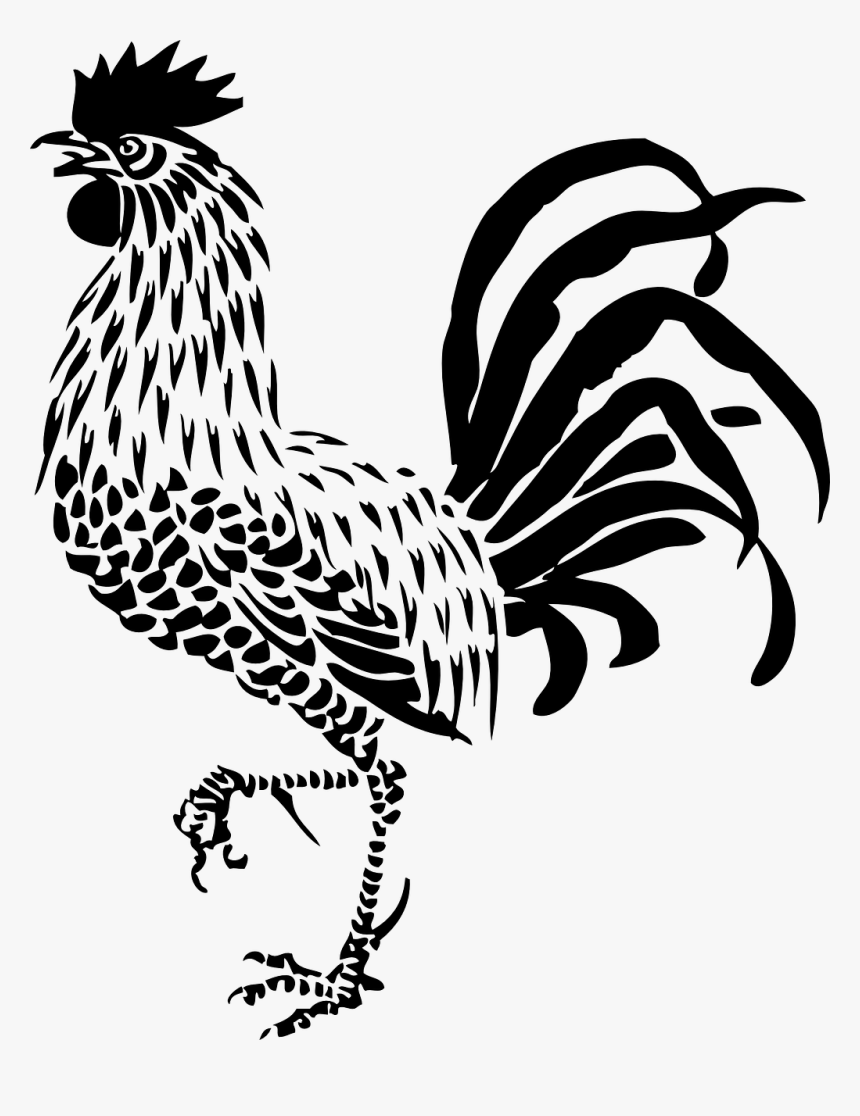 Rooster Line Art, HD Png Download, Free Download