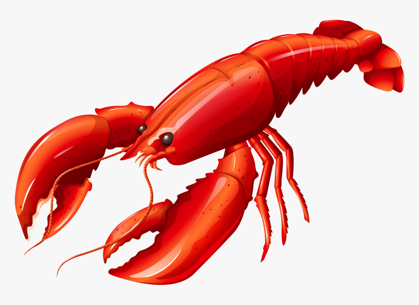 Louisiana Clipart Lobster - Lobster Illustration, HD Png Download, Free Download