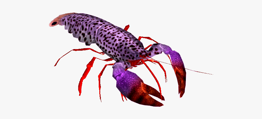 Blue Lobster Transparent, HD Png Download, Free Download