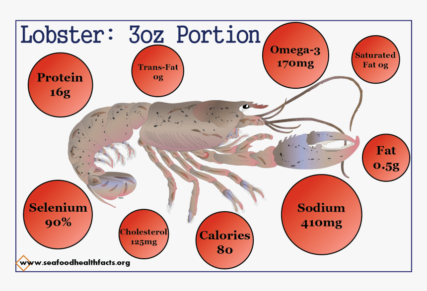 Lobster - Antarctic Krill, HD Png Download, Free Download