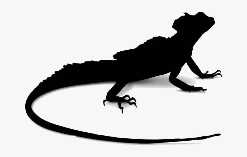 Transparent Lizard Clipart, Lizard Png Image - Transparent Background Lizard Transparent, Png Download, Free Download