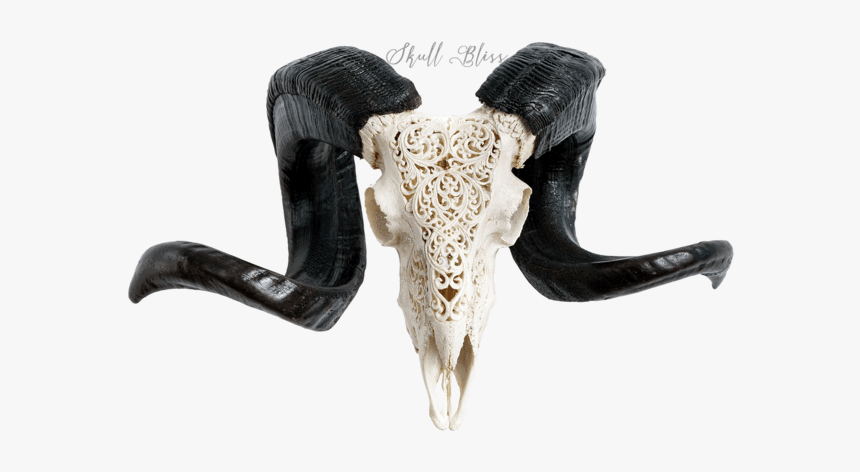 Carved Ram Skull - Horn, HD Png Download, Free Download