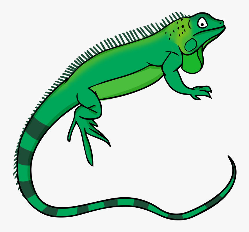 Transparent Lizard Png - Iguana Clipart Png, Png Download, Free Download