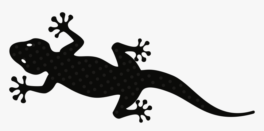 Black And White Gecko Lizard Clipart - Gecko Clip Art, HD Png Download, Free Download