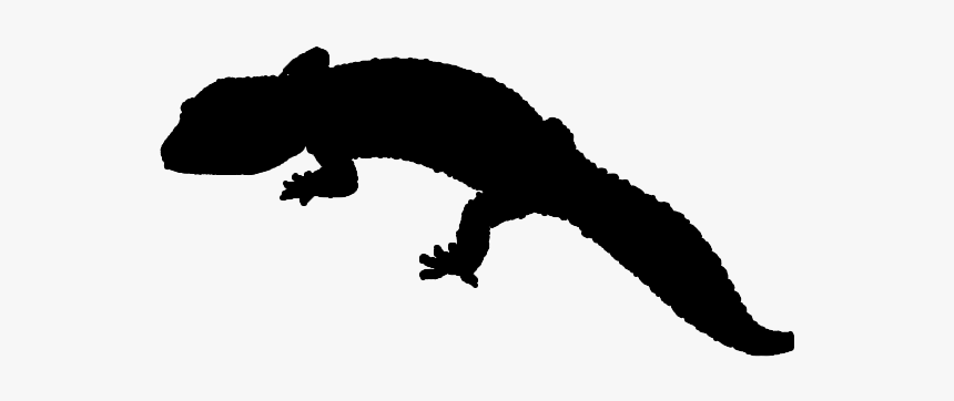 Reptile Lizard Common Leopard Gecko - Leopard Gecko Clipart Black And White, HD Png Download, Free Download