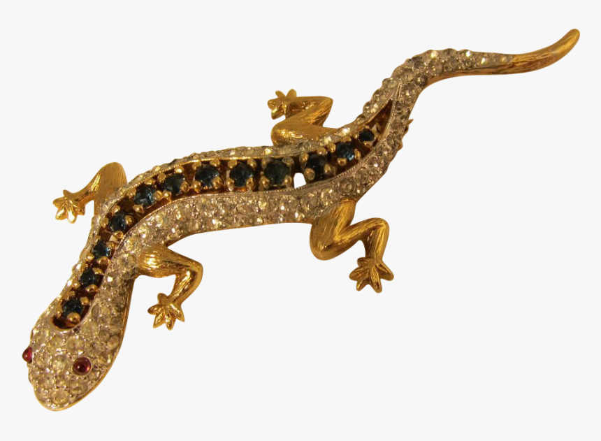 Lizard Transparent Background, HD Png Download, Free Download