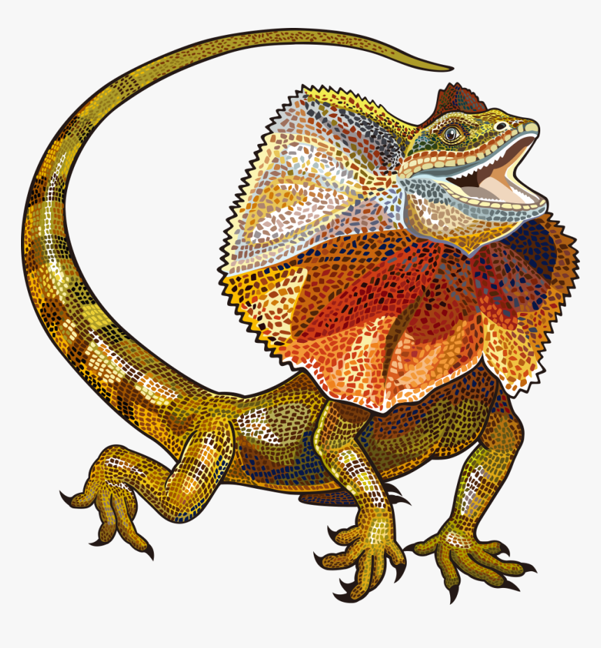 Lizard Vector Free Download Image Clipart - Frill Neck Lizard Drawing, HD Png Download, Free Download