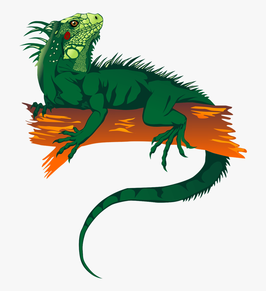 Cartoon Iguana Clip Art Free - Iguana Png Transparent, Png Download, Free Download