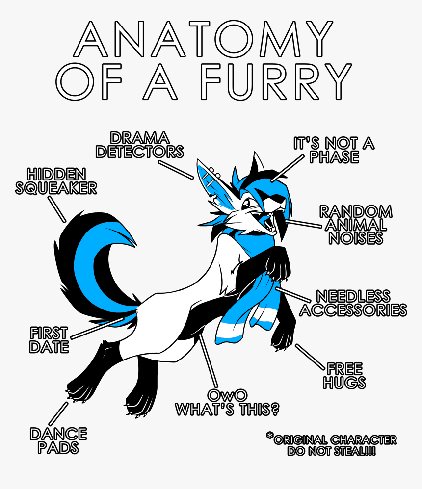 Anatomy Of A Furry, HD Png Download, Free Download