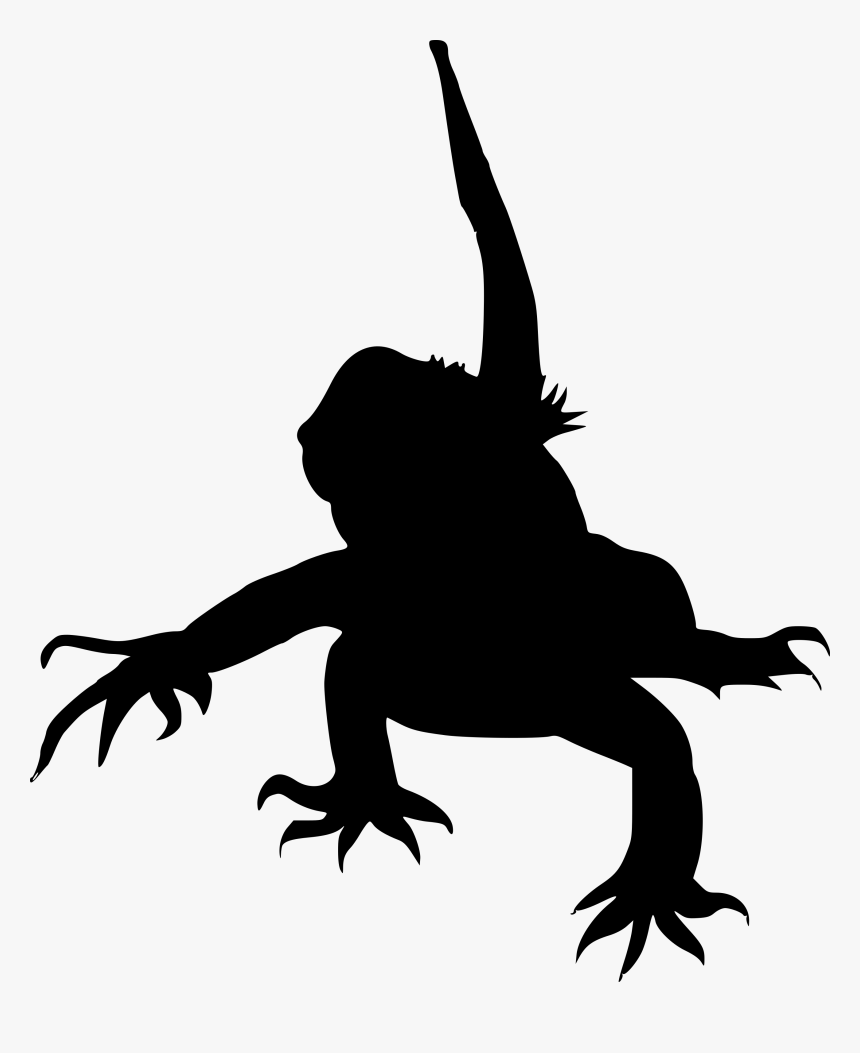 Frog, HD Png Download, Free Download