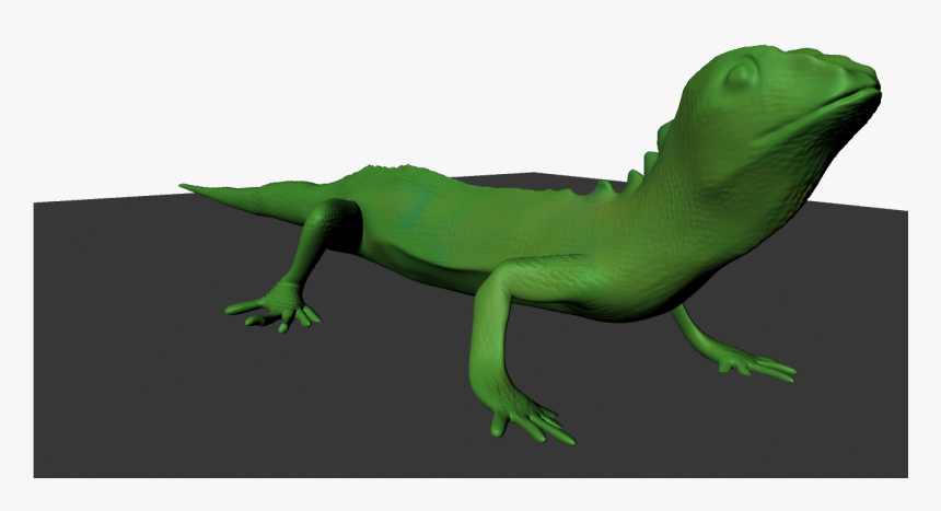 Transparent Geico Gecko Clipart - Carolina Anole, HD Png Download, Free Download