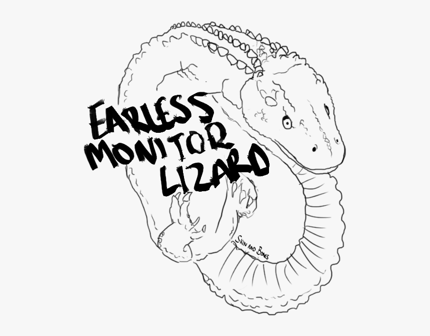 Earlessmonitorlizard - Sketch, HD Png Download, Free Download