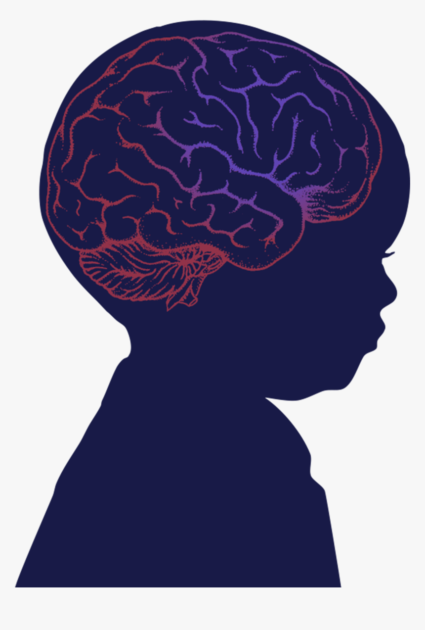Baby Brain Png, Transparent Png, Free Download