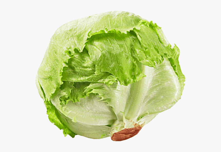 Romaine Lettuce Seed Iceberg Lettuce Rijk Zwaan Salad - Transparent Background Lettuce Transparent, HD Png Download, Free Download