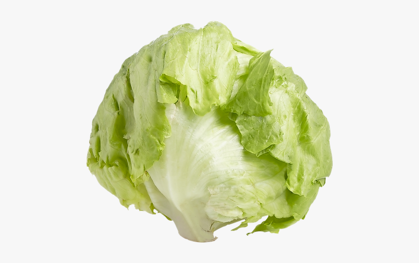 Romaine Lettuce Iceberg Lettuce Endive Leaf Vegetable - Iceberg Lettuce Png, Transparent Png, Free Download