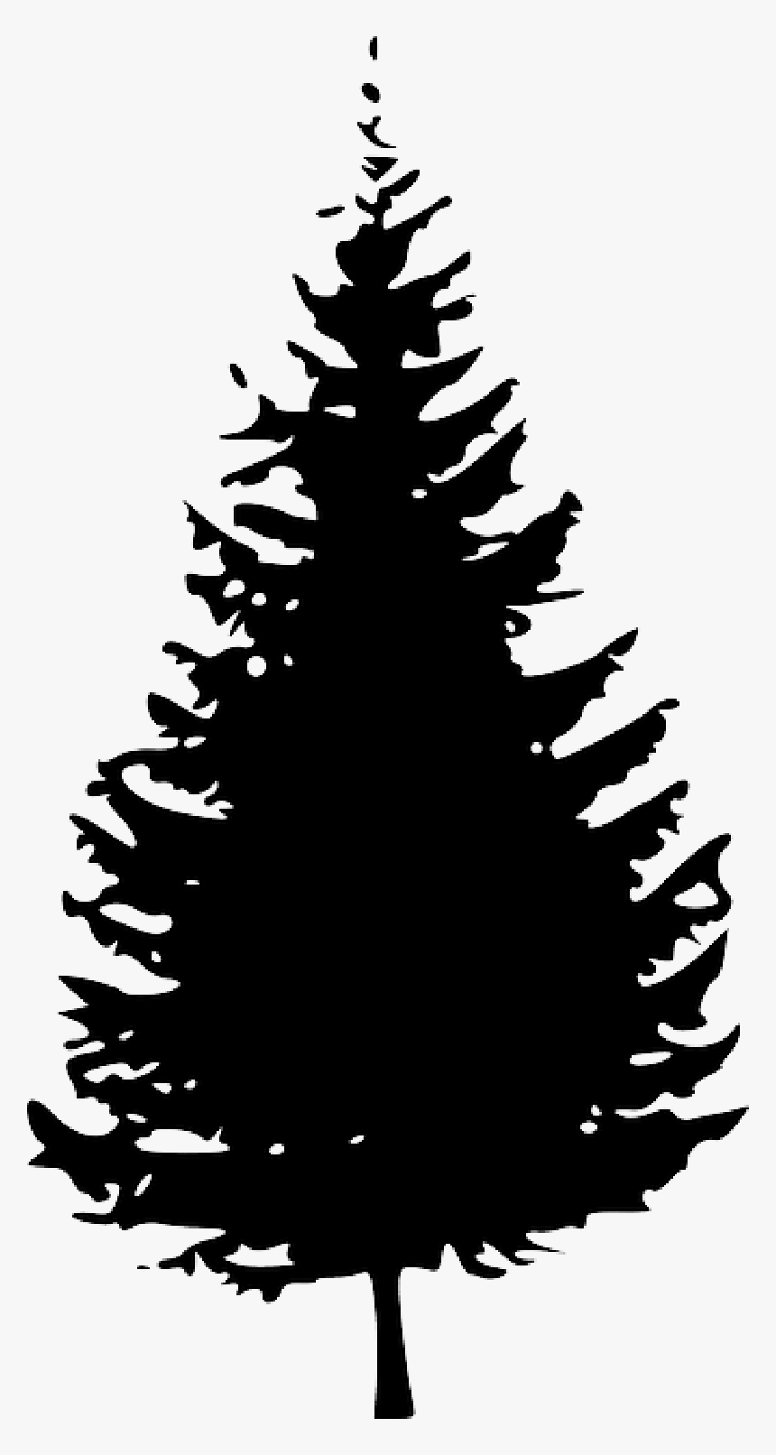 Clip Art Pine Tree Fir Vector Graphics - Evergreen Tree Silhouette Png, Transparent Png, Free Download