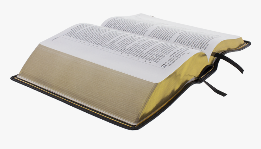 Pulpit Bible Open Angle Sm - Open Bible Angled Png, Transparent Png, Free Download
