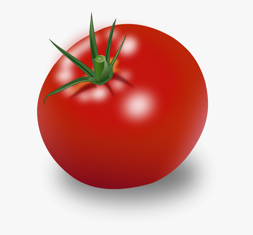 Tomato Png - Tomato Clipart, Transparent Png, Free Download