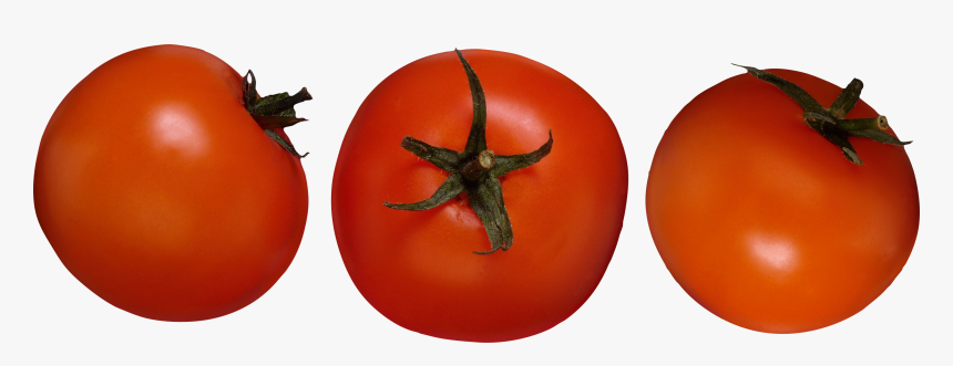 Download And Use Tomato Png Picture - Desventajas Del Tomate, Transparent Png, Free Download