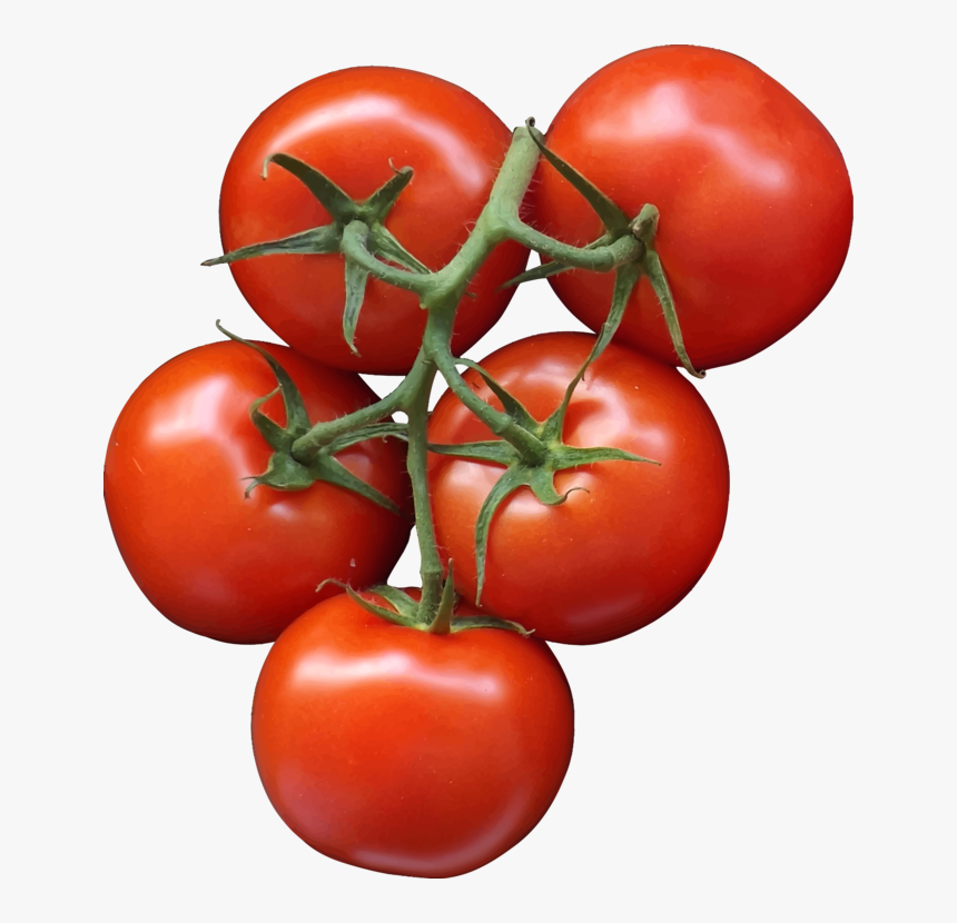 Tomato,superfood,plant - Transparent Background Tomatoes Clipart, HD Png Download, Free Download