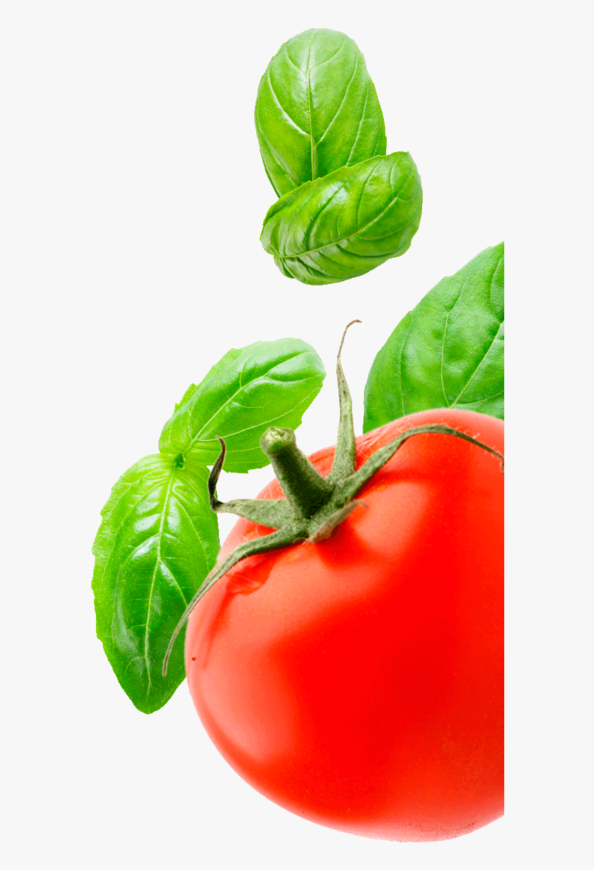 Transparent Tomatoe Clipart - Tomato And Basil Png, Png Download, Free Download