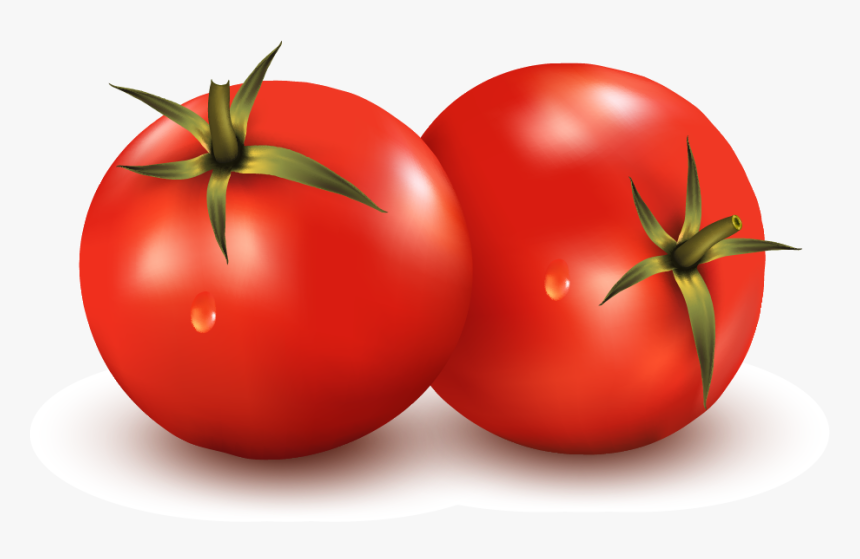 Vegetable Vector Images Png, Transparent Png, Free Download