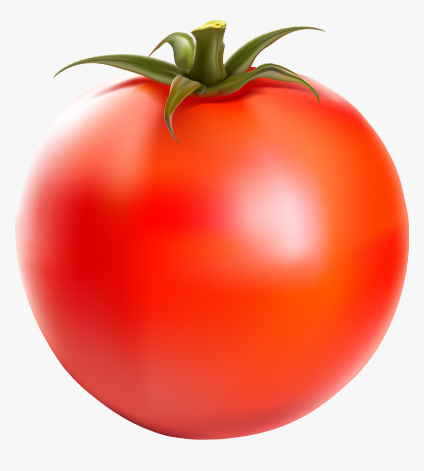 Plum Tomato, HD Png Download, Free Download