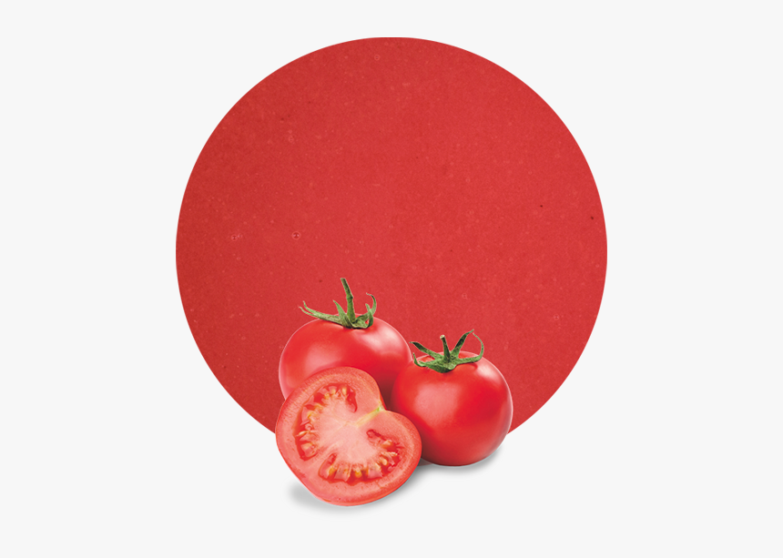 Plum Tomato, HD Png Download, Free Download