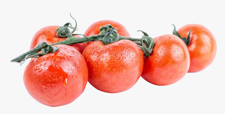 Vegetable Cutter Png Transparent Image - Bush Tomato, Png Download, Free Download