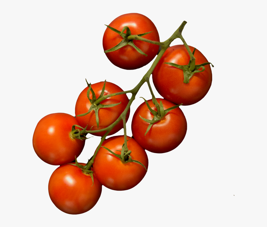 Transparent Tomatoes Png - Plum Tomato, Png Download, Free Download