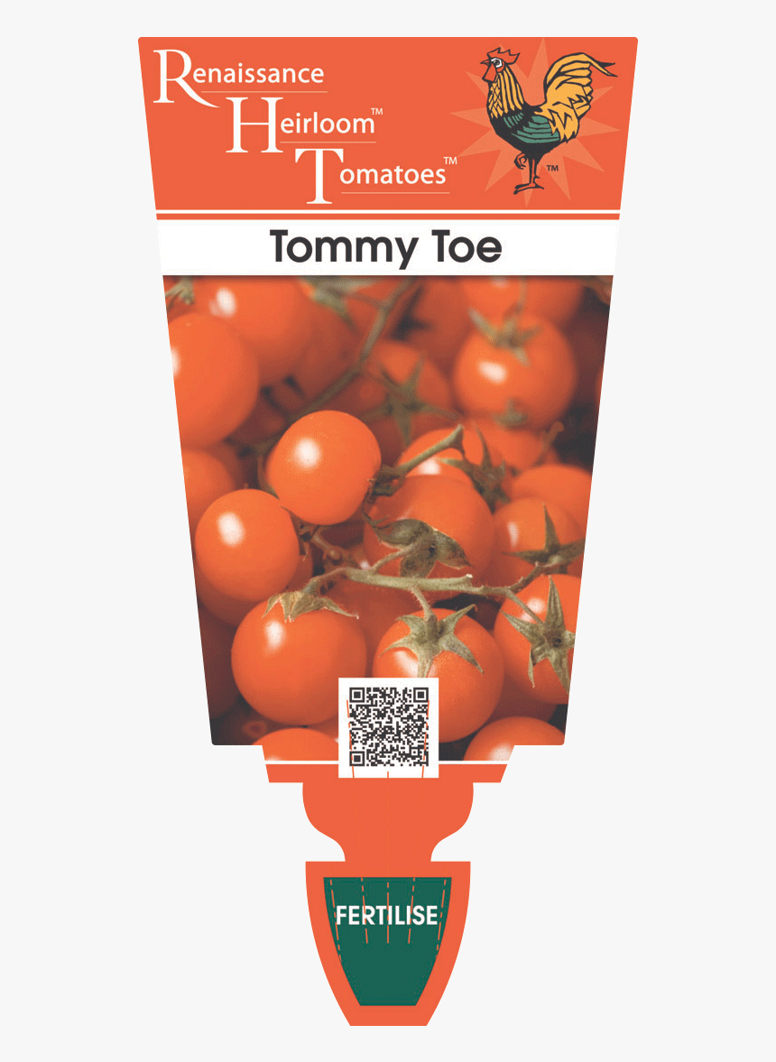 Tomato Heirloom "tommy Toe - Renaissance Herbs, HD Png Download, Free Download