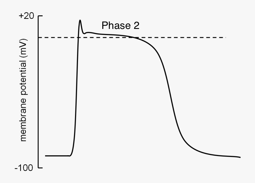 Diagram, HD Png Download, Free Download