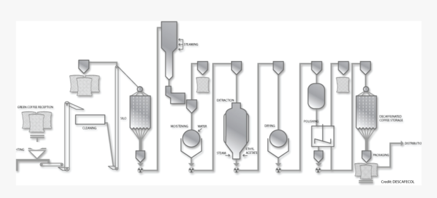 Proceso De Descafeinado Del Cafe, HD Png Download, Free Download