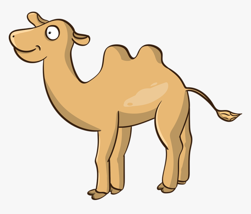 Camel, The Mehari, Nar, Dromedary, Cartoon, Steppe - Animasi Unta Vektor, HD Png Download, Free Download
