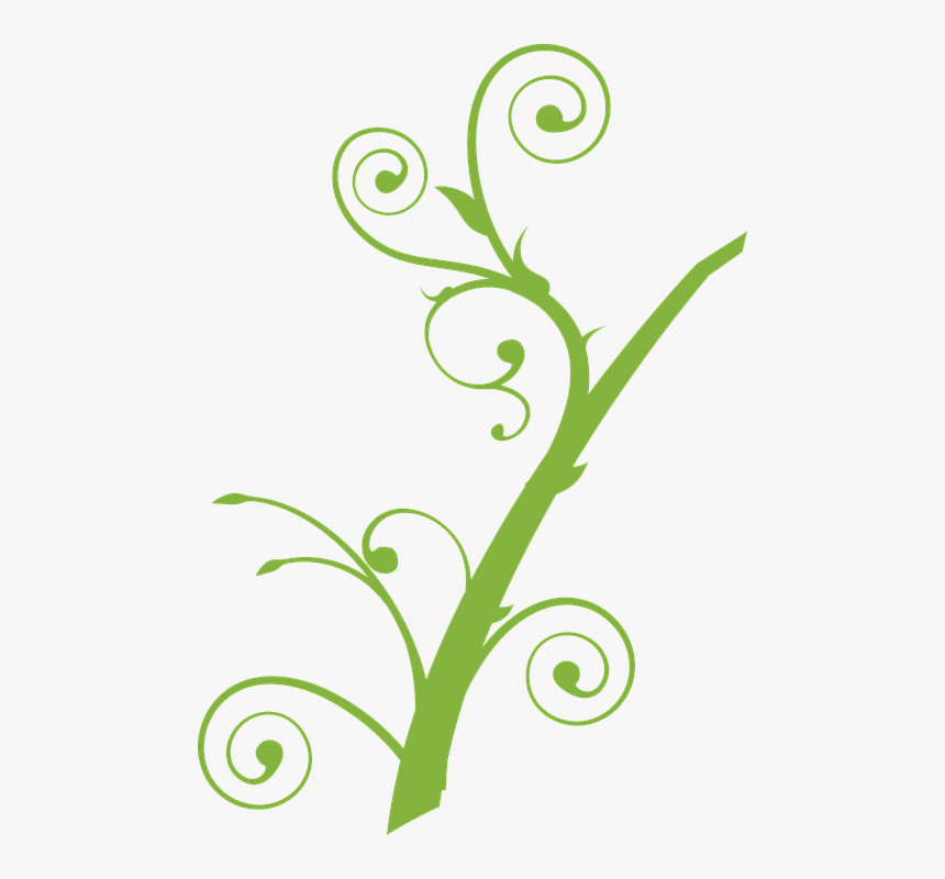 Vine Vector Png - Tree Branch Clip Art, Transparent Png, Free Download