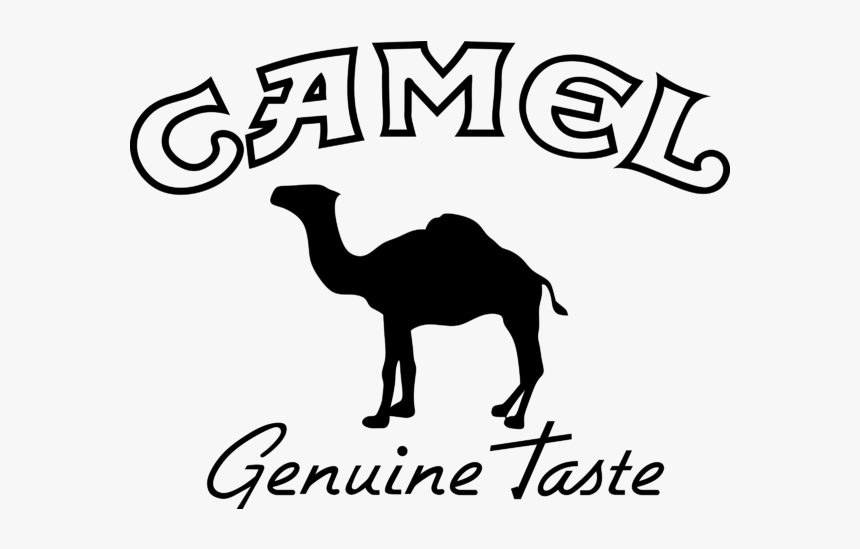 Camel Logo Vector, HD Png Download, Free Download
