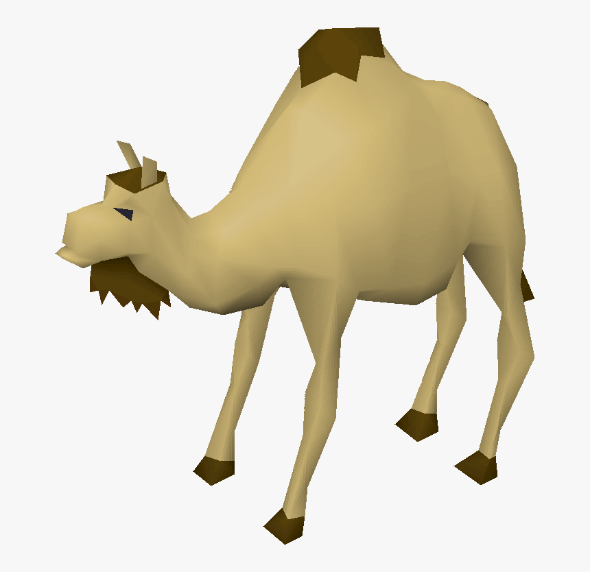 Clip Art Cam The Old School - Old School Runescape Camel, HD Png Download, Free Download