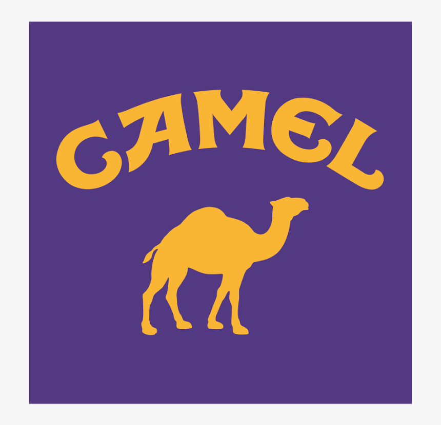 Arabian Camel, HD Png Download, Free Download