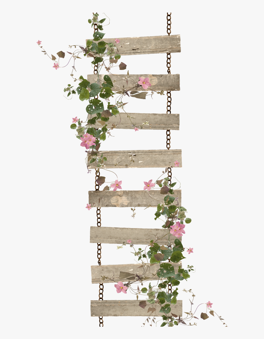 #mq #ladder #roses #vines #leaf #leaves - Transparent Rose Vines Png, Png Download, Free Download