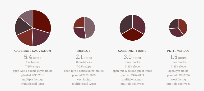 The Vines Are Cane Pruned And Trained To Both The Open - Circle, HD Png Download, Free Download