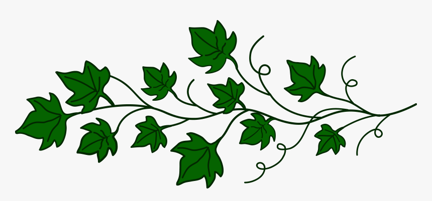 Transparent Fresh Clipart - Vines Png Clipart, Png Download, Free Download