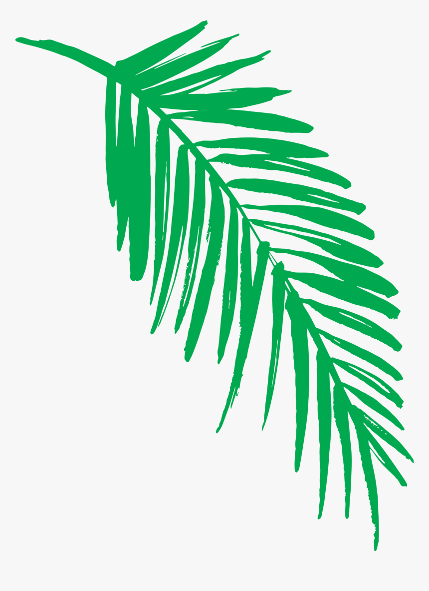 Transparent Fern Jungle Transparent Png Clipart Free - Pink Palm Leaf Png, Png Download, Free Download