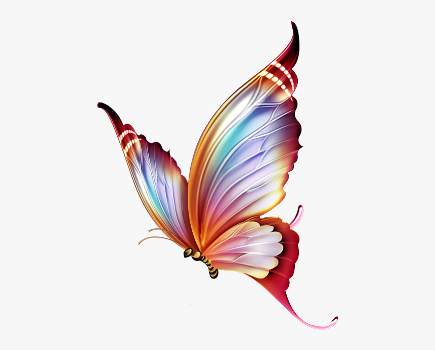 Mariposas Png - Butterfly Drawing On Colour Pencil, Transparent Png, Free Download