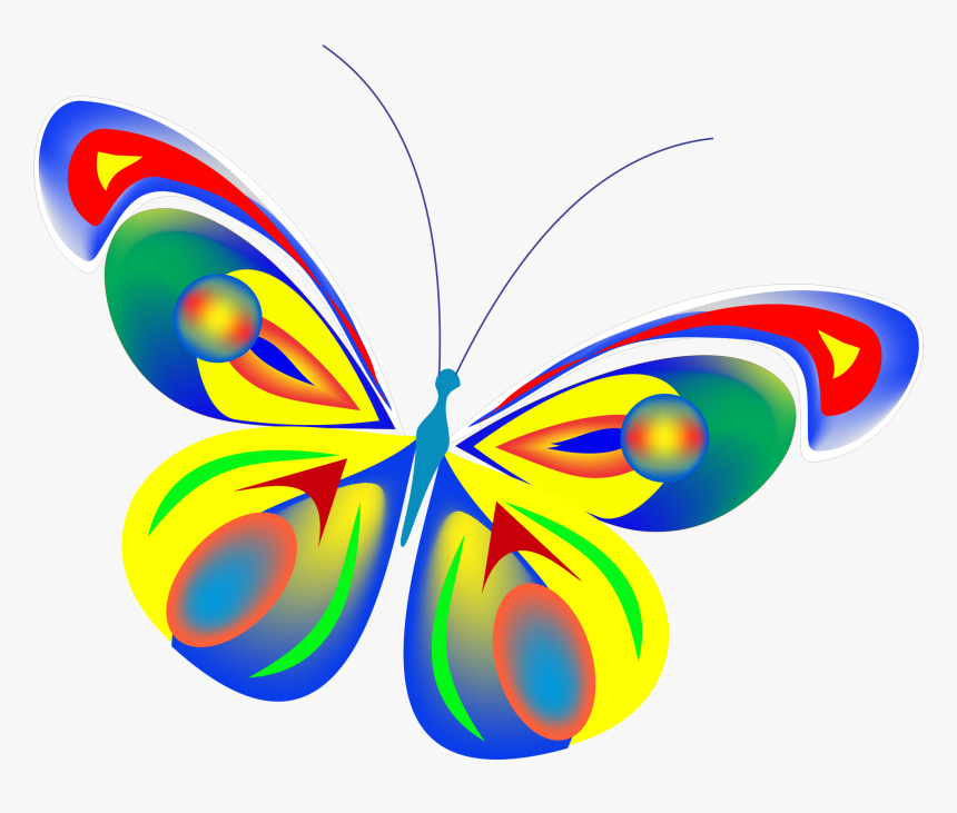 Butterfly,clip Art,graphics,moths And - Graphic Design, HD Png Download, Free Download