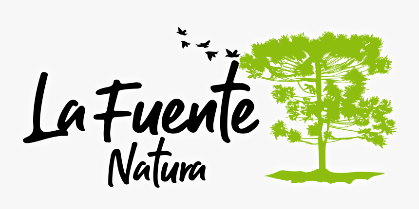Ambiental Consecuencia De La Deforestacion, HD Png Download, Free Download