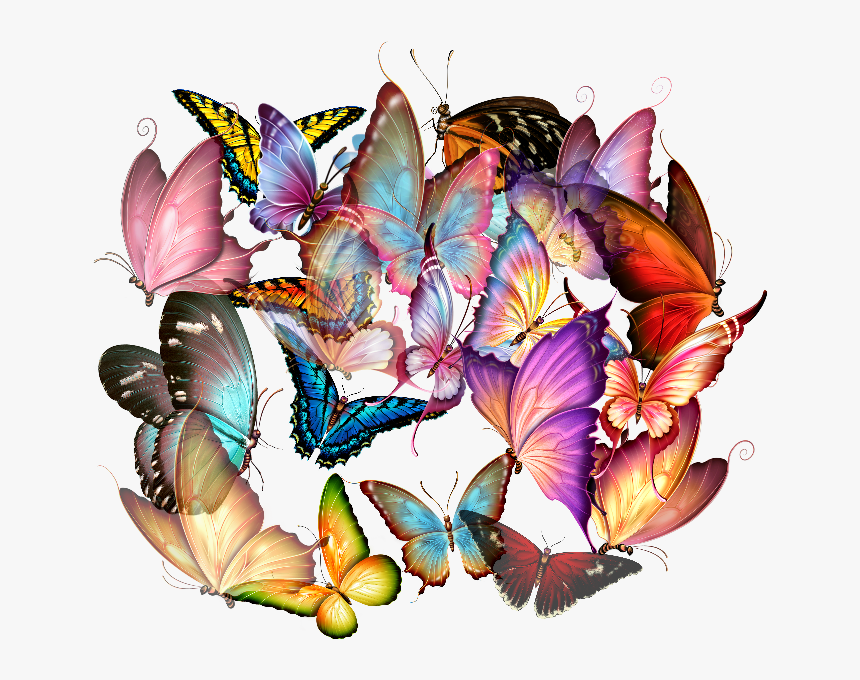 Mariposas Png Hd - Papilio, Transparent Png, Free Download