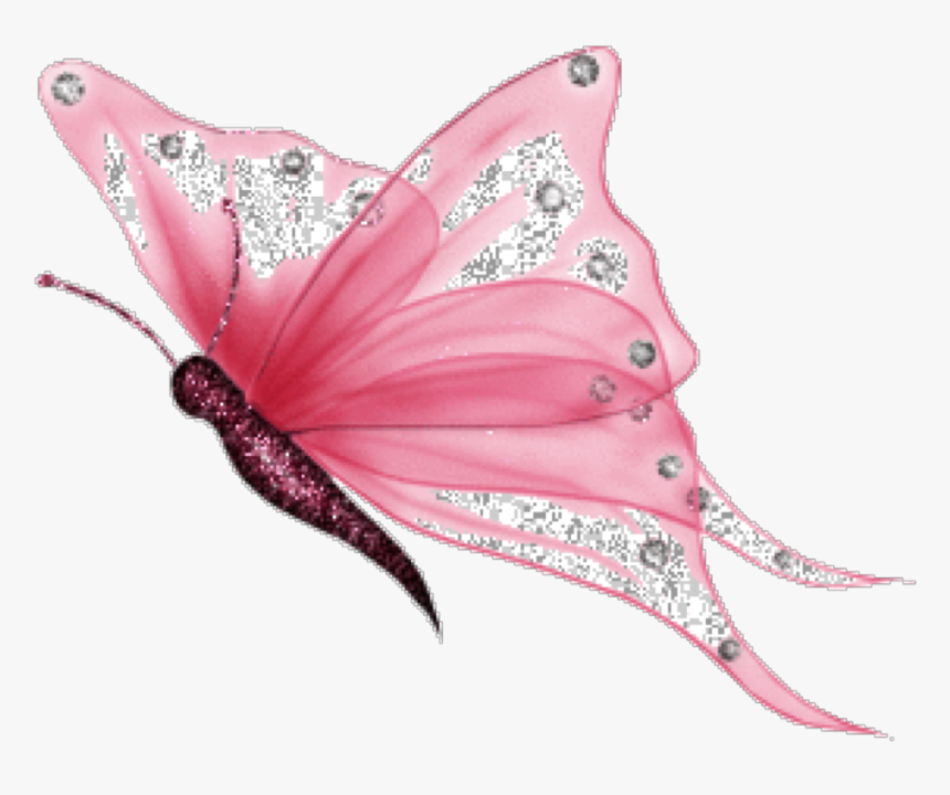 Imagenes De Mariposas Png , Png Download - White Butterfly Png, Transparent Png, Free Download