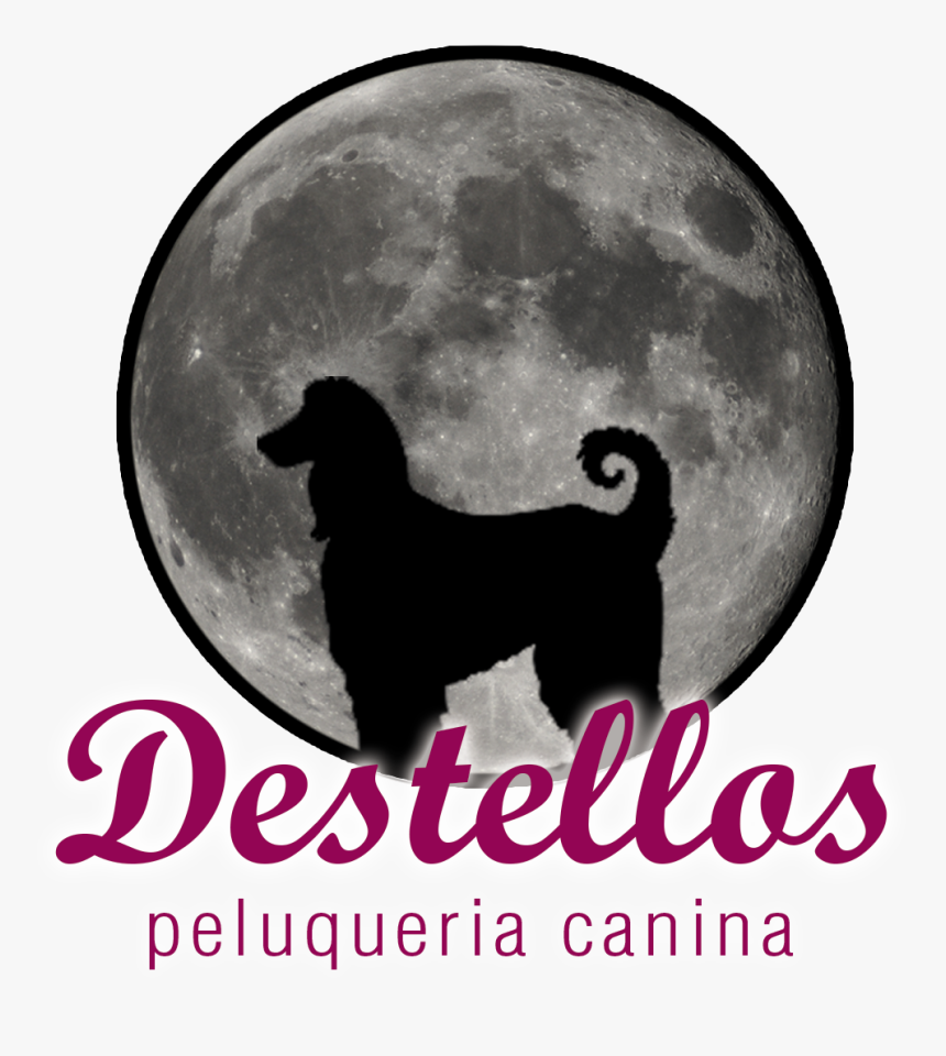 Destellos Peluqueria Canina En Alhaurin De La Torre - Full Moon, HD Png Download, Free Download