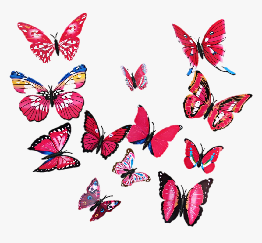 Butterfly Wall Art Png, Transparent Png, Free Download